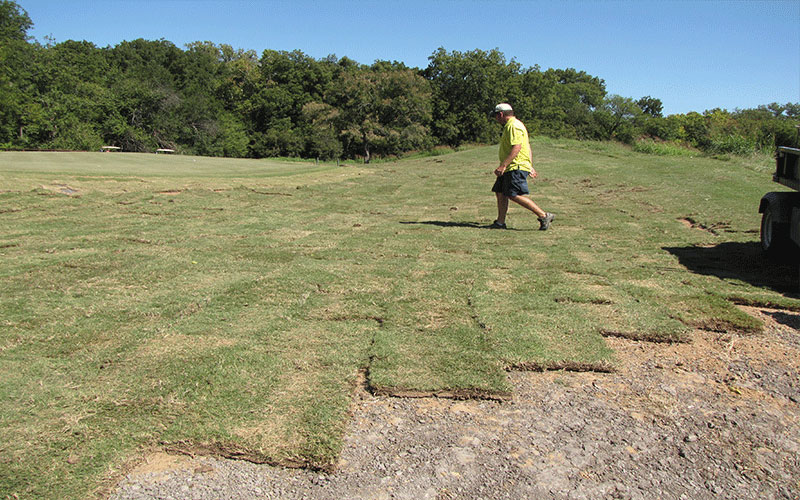 LAND CLEARING NORTH FORT MYERS