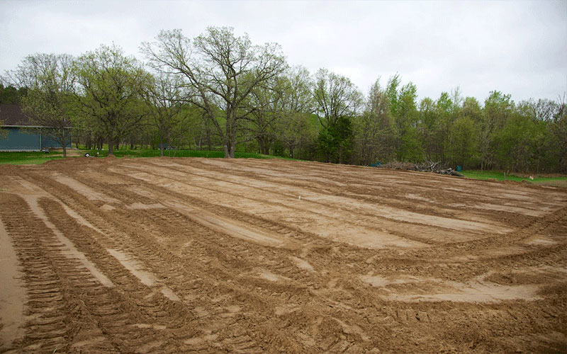 GARDEN CENTER NORTH FORT MYERS